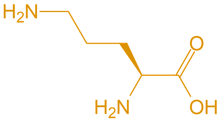 鳥氨酸Orn(專肽生物www.tsjxdd.com)