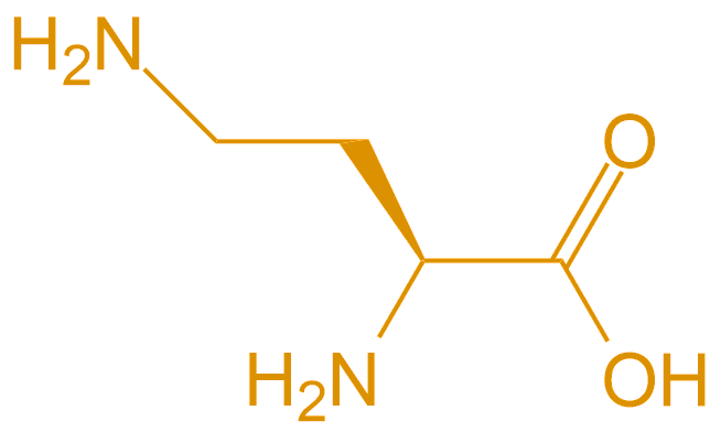 2,4-二氨基丁酸(專肽生物www.tsjxdd.com)