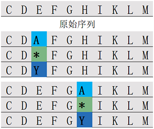 位置掃描肽庫計(jì)算器(專肽生物www.tsjxdd.com)