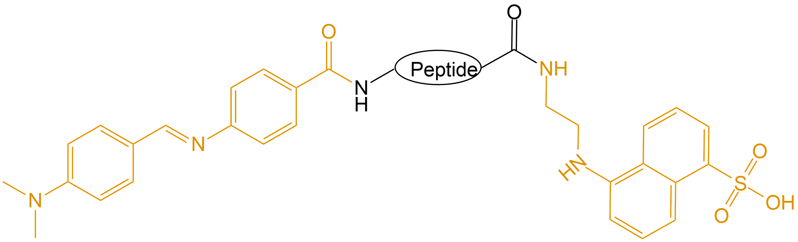 DABCYL和EDANS雙標記(專肽生物www.tsjxdd.com)