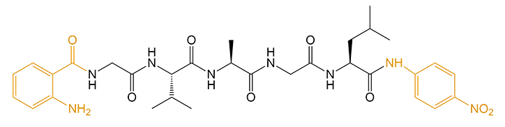 雙標記多肽的結構(專肽生物www.tsjxdd.com)