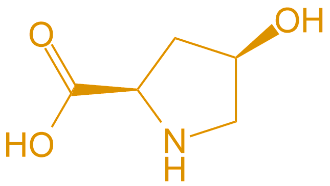 D型羥脯氨酸(專肽生物www.tsjxdd.com)
