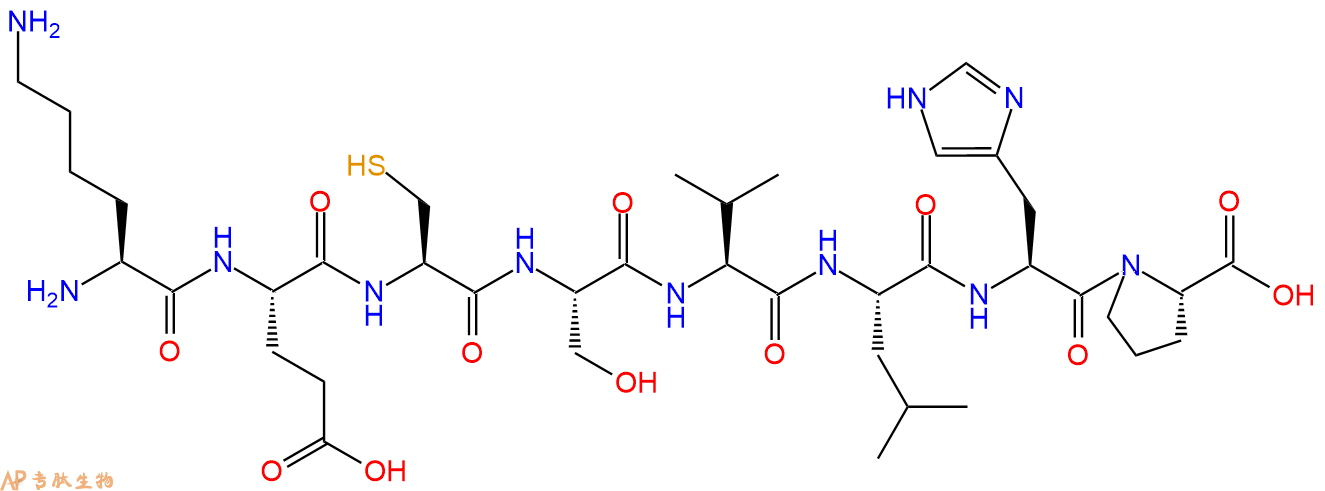 多肽KECSVLHP的參數(shù)和合成路線|三字母為L(zhǎng)ys-Glu-Cys-Ser-Val-Leu-His