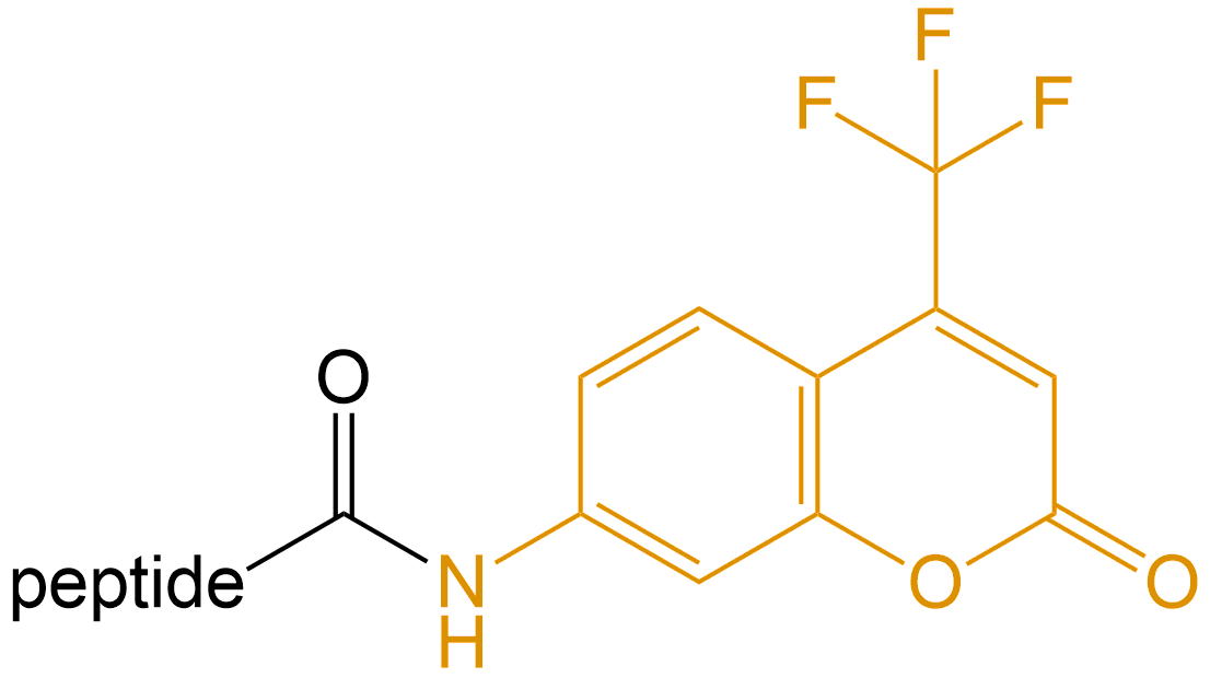 香豆素修飾(專肽生物www.tsjxdd.com)