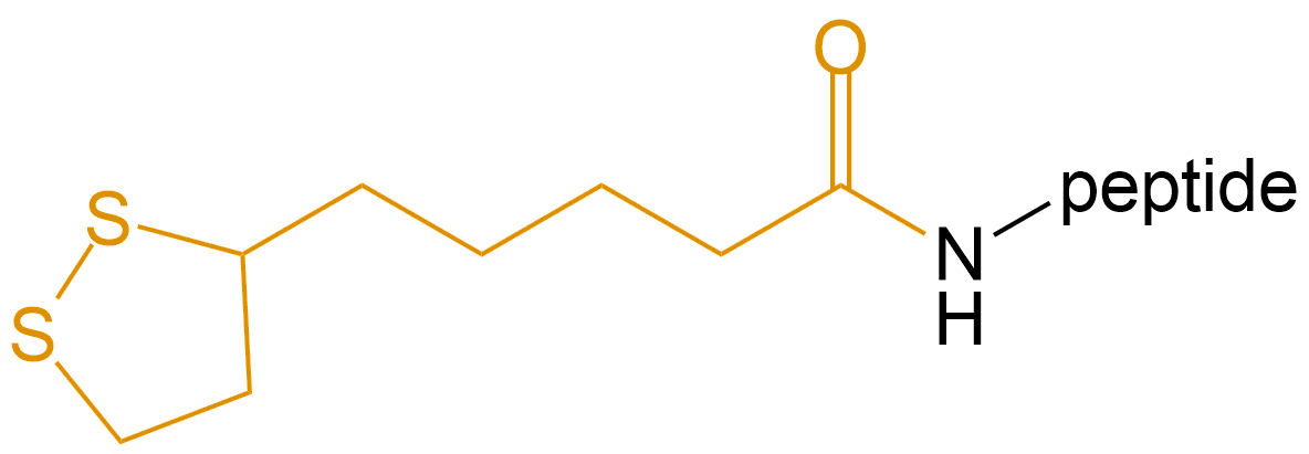 多肽硫辛酸修飾(專肽生物www.tsjxdd.com)