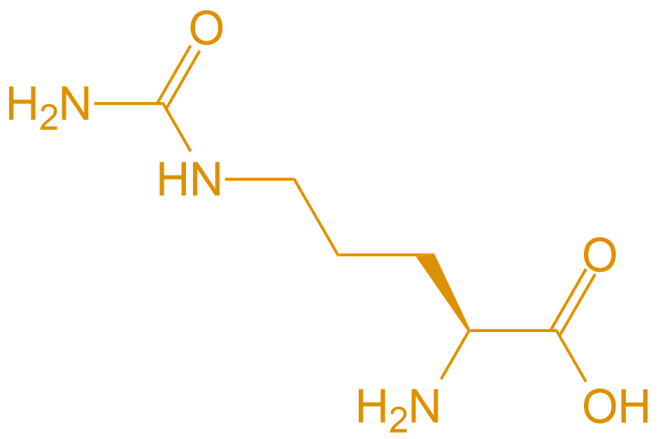 瓜氨酸Cit(專肽生物www.tsjxdd.com)
