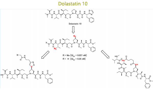 （海兔毒素）線性和大環(huán)含吡咯烷環(huán)修飾的Dolastatin 10類似物的合成和評(píng)價(jià)