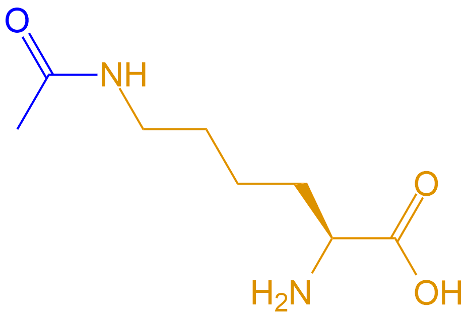 Lys(Ac)(專肽生物www.tsjxdd.com)