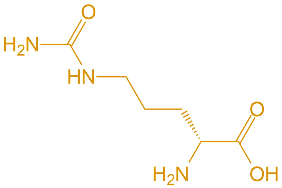 D型胍氨酸Cit(專肽生物www.tsjxdd.com)
